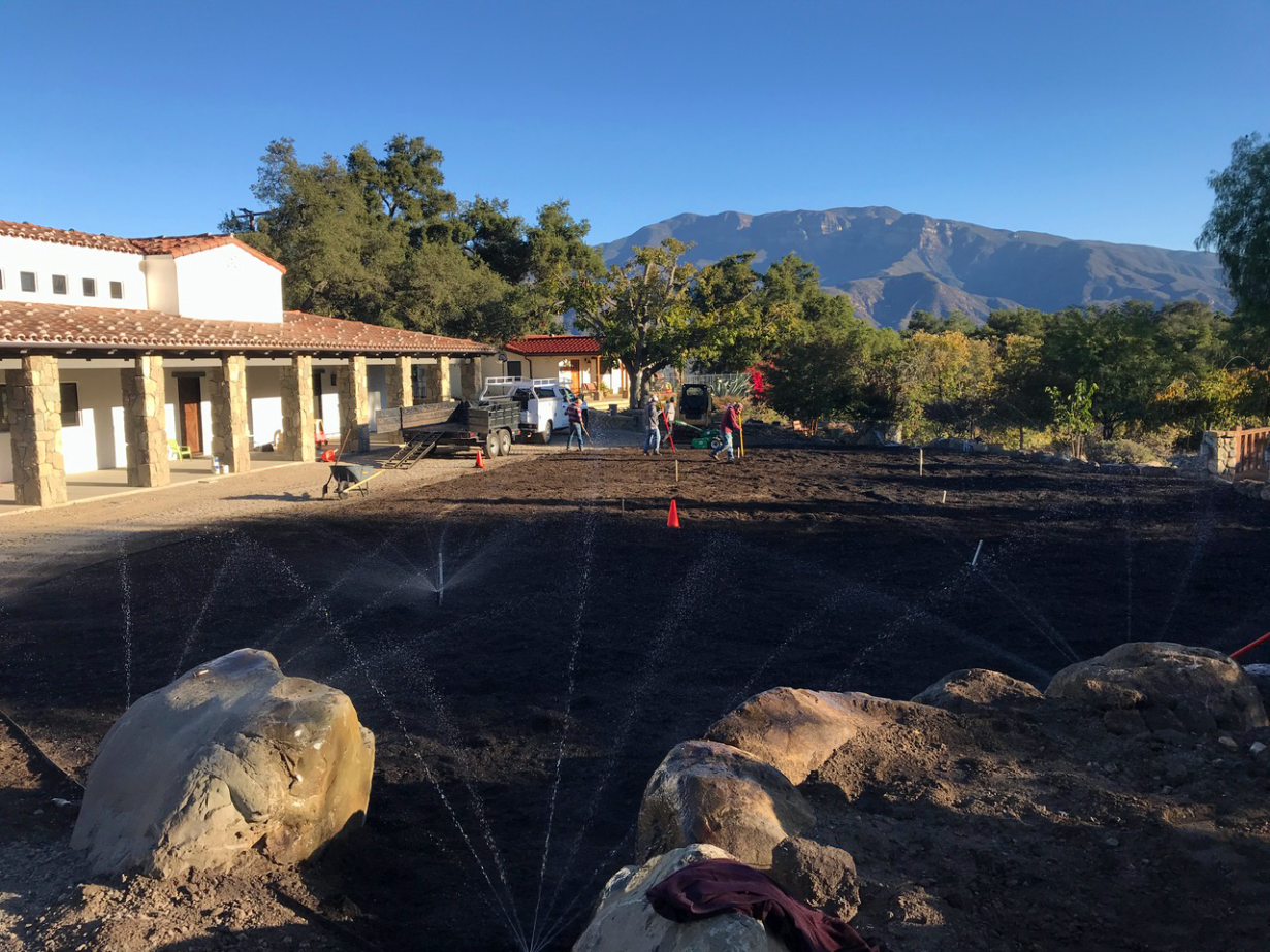 Irrigation Install – Element Landscape Construction
