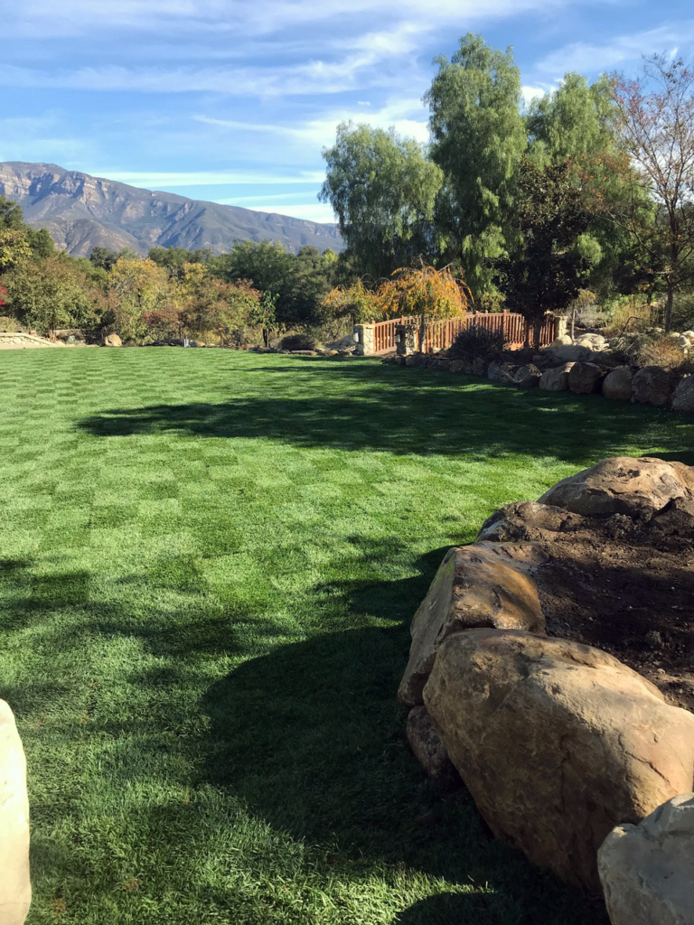 Mini Soccer Field – Element Landscape Construction