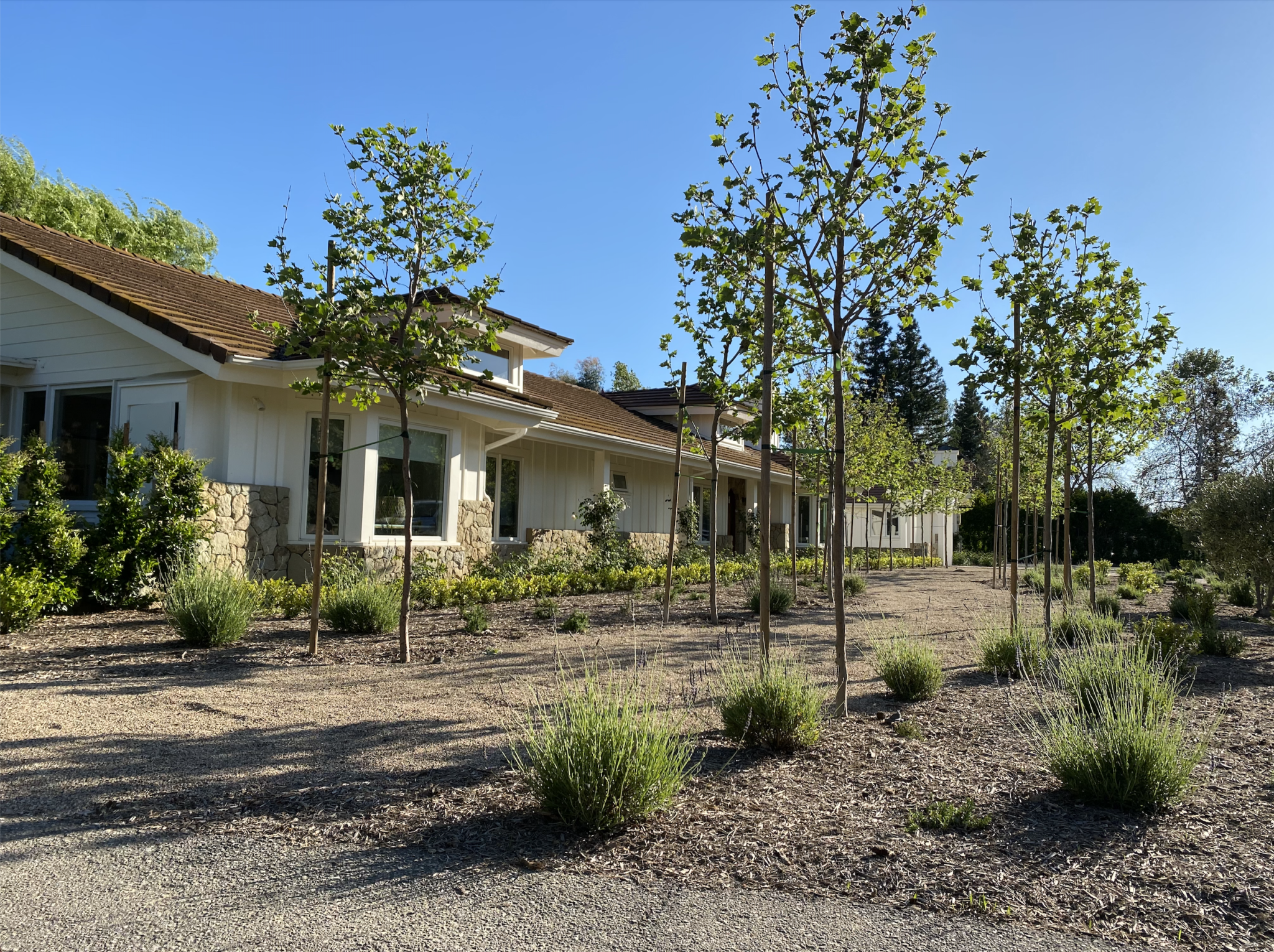 Gallery Standard – 3 Column – Element Landscape Construction