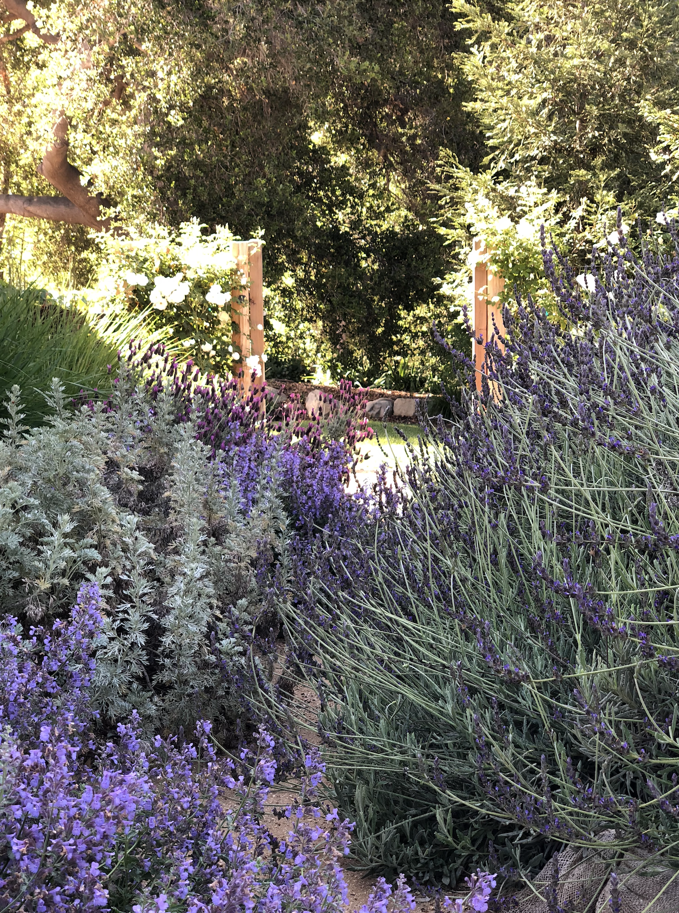 Gallery – Element Landscape Construction