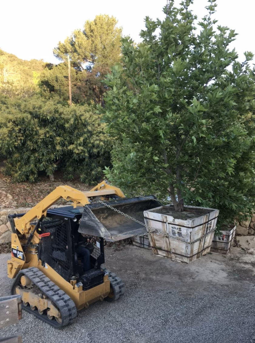 Gallery Standard – 3 Column – Element Landscape Construction